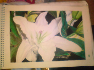 Lilly
