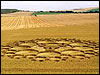 Crop circle