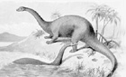 Radio 4: Gigantism in dinosaurs