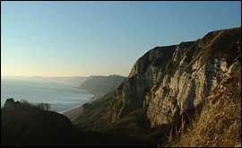 The cliffs near Branscombe