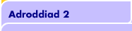 Adroddiad 2