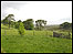 Dartmoor