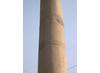 Photograph showing a pillar of Ashoka as it looks today. Copyright Trustees of the British Museum