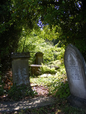 Cheshire