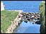 The Cut at Seaton Sluice Harbour