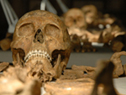 Archaeology