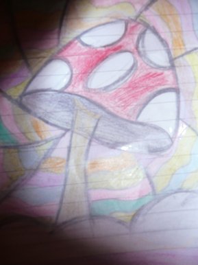 Mushroom2