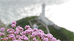 South Stack