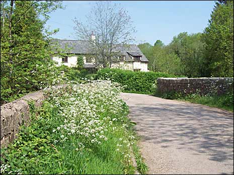 Templeton Bridge, Tiverton