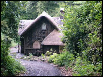Thatched cottage