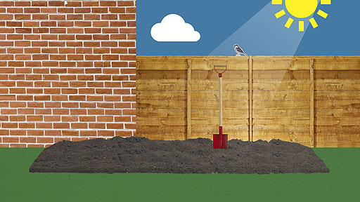 The sun shining on a vegetable patch near a wall.
