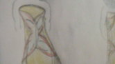 Butterfly dress...