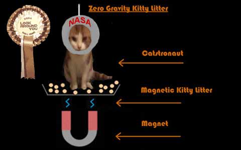Zero Grav Kitty Litter
