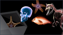 Darwin Season newsletter