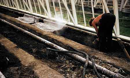 Soil steaming