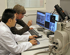 New electron microscope technology in action....