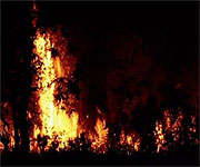 fire