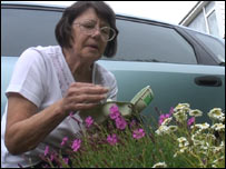 Thora picking flowers