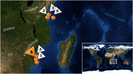 Dive map - Indian Ocean - Site 5