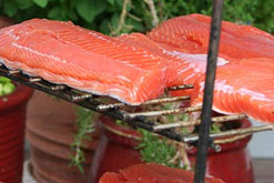 Smoking Salmon. Photo courtesy of mollinalaska on Flickr