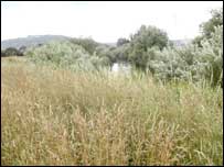 Water meadow and River Severn