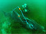 Basking Shark tangled in net by Will Postlethwaite