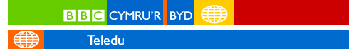 Teledu