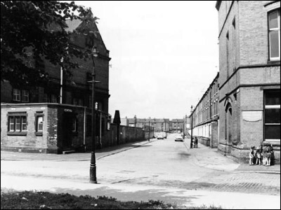 Old Meadows Gallery