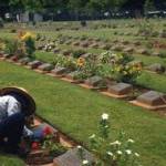 Tending the graves in the war cemetary, Khan Buri