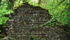 Remains of the ruined cottage