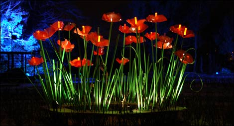 Art installation in Saltwell Park