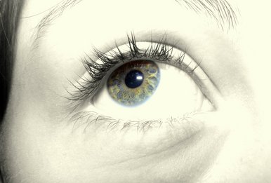 Eye