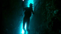 Diving in the oceanic rift