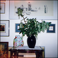 The junk collection