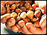 Onion bulbs