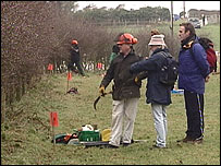A hedge laying competition