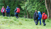 Weatherman Walking