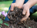Using mulches