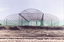 Seawater Greenhouse - Abu Dhabi
