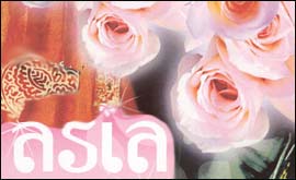 Detail of the Festival of South Asia poster 