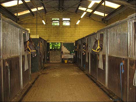 George Bowman Stables - Penrith