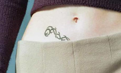 stomach