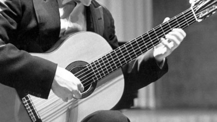 Acoustic guitar