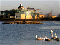 Saltholme