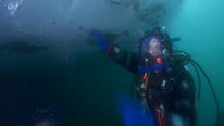 Diving under the pack ice