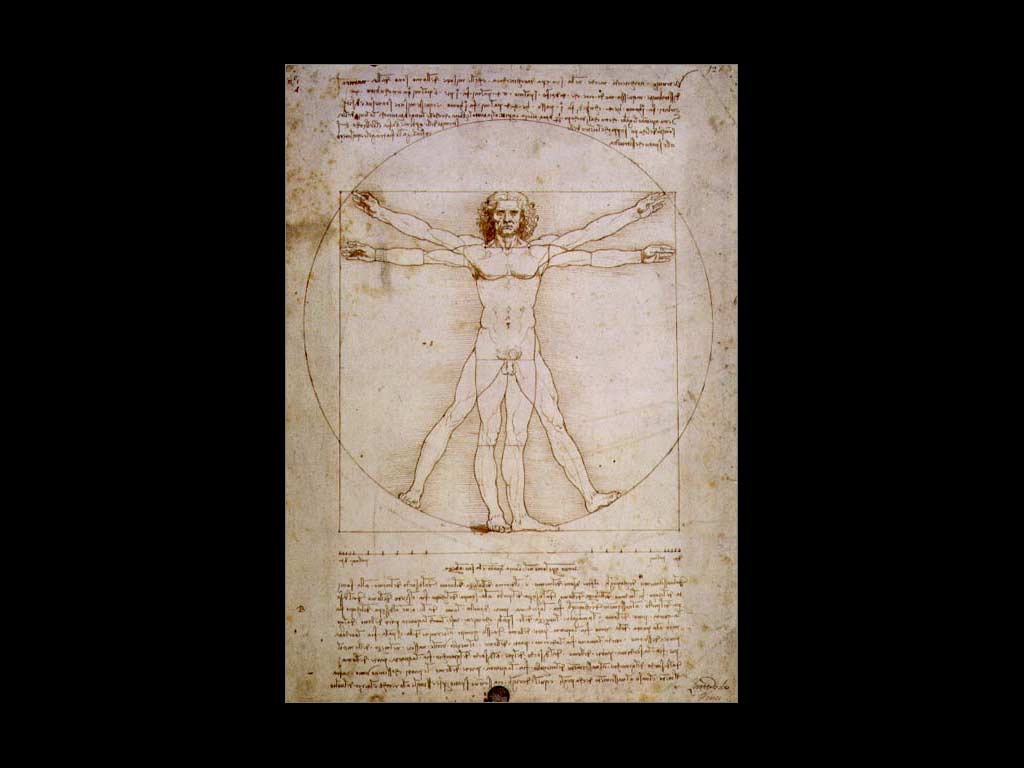 Vitruvian Man