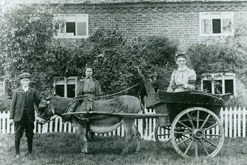 District Nurse Jenny Wolfe in a donkey cart.
