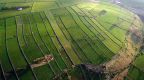 Man-made Landscapes