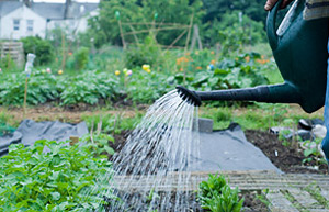 Watering can