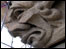 Gargoyle